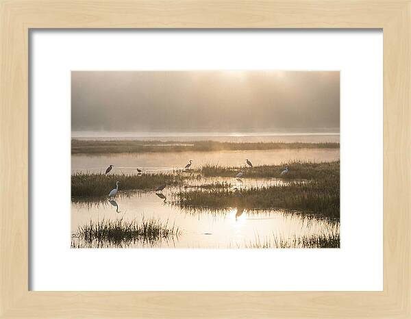 Golden Light On Calm Estuary