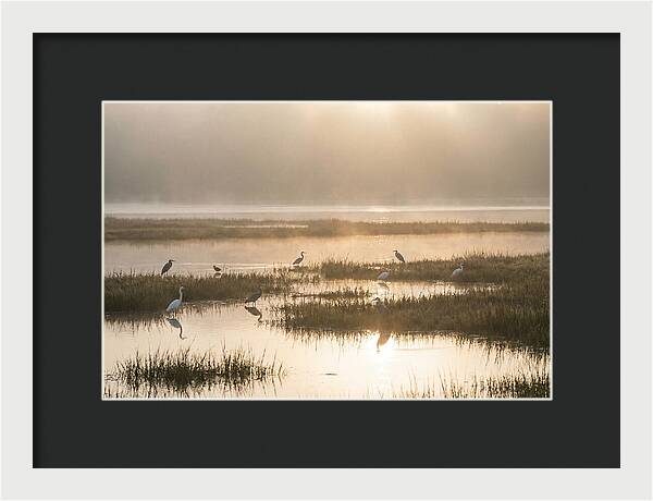 Golden Light On Calm Estuary