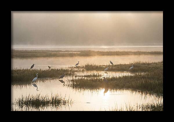 Golden Light On Calm Estuary
