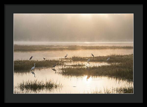 Golden Light On Calm Estuary
