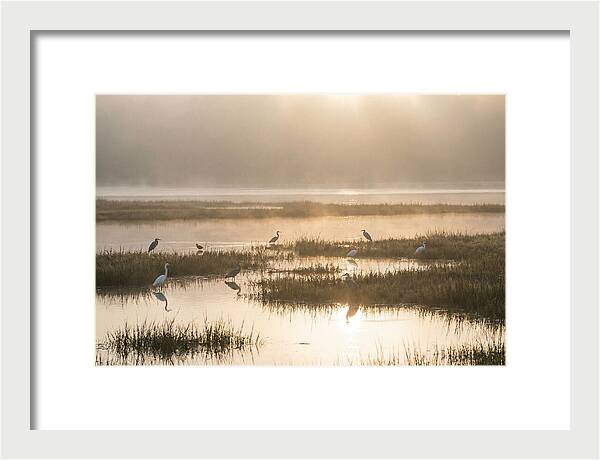 Golden Light On Calm Estuary