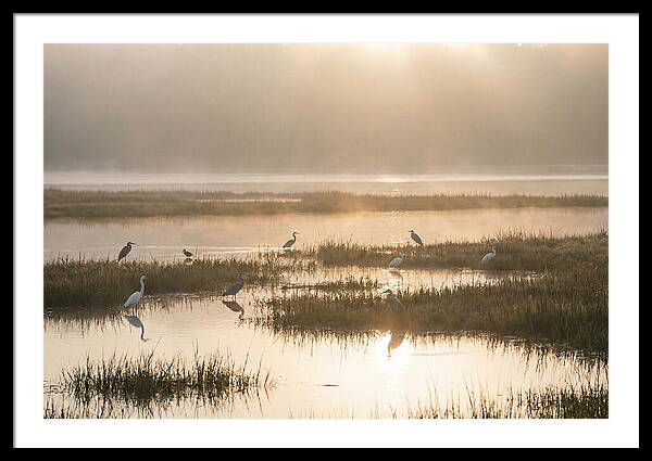 Golden Light On Calm Estuary