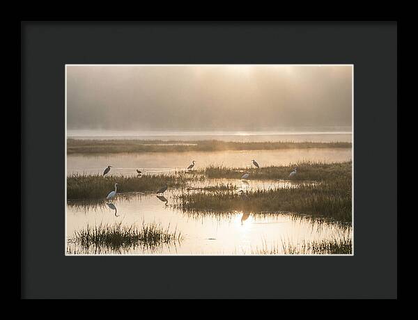 Golden Light On Calm Estuary