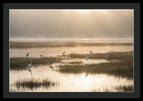 Golden Light On Calm Estuary