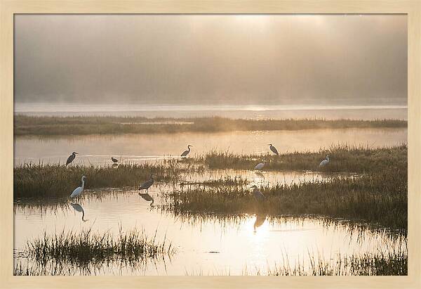 Golden Light On Calm Estuary