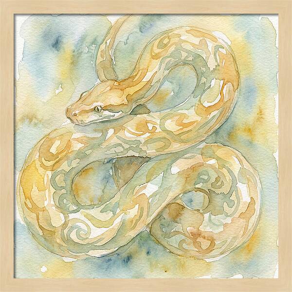 Golden Python In Watercolor