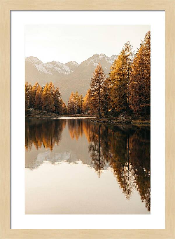Golden Reflections In Jiuzhaigou