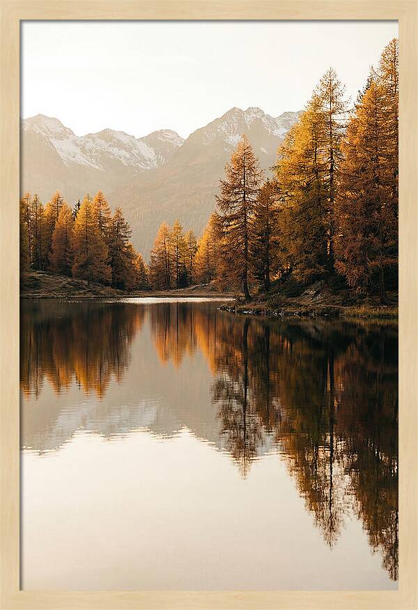 Golden Reflections In Jiuzhaigou