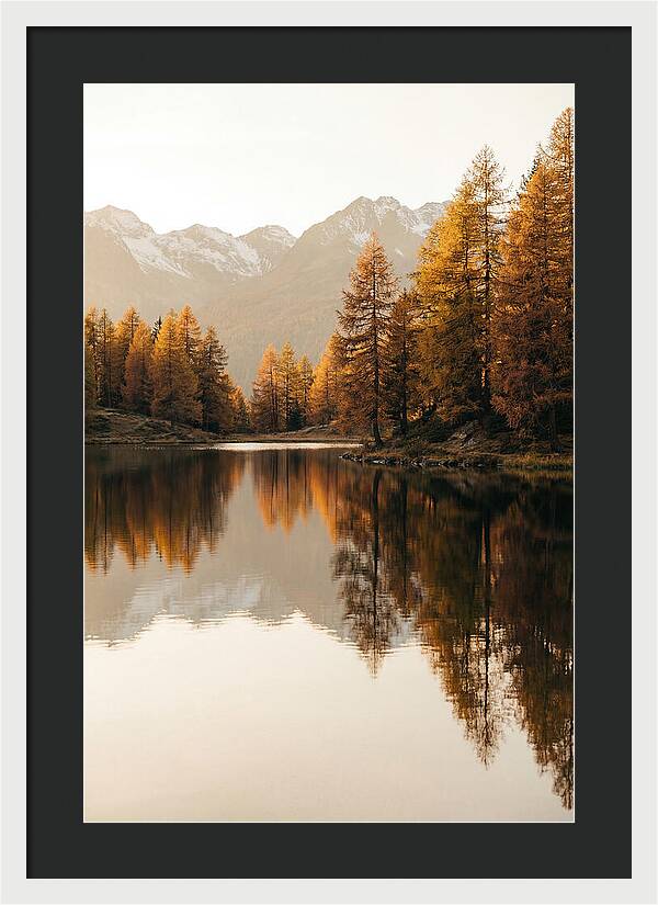 Golden Reflections In Jiuzhaigou