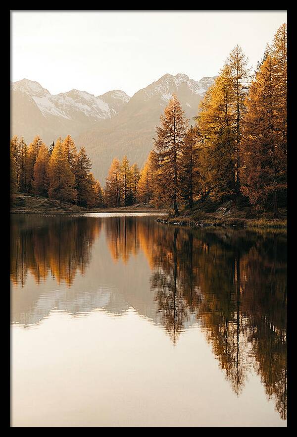 Golden Reflections In Jiuzhaigou
