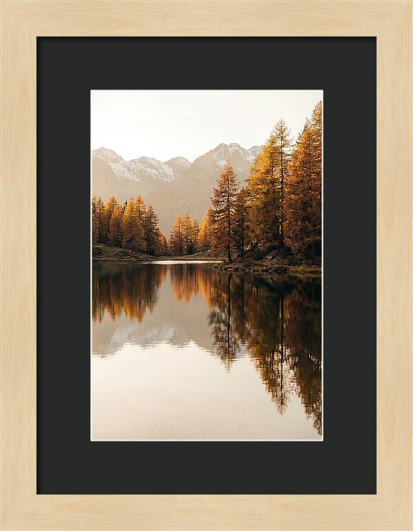 Golden Reflections In Jiuzhaigou