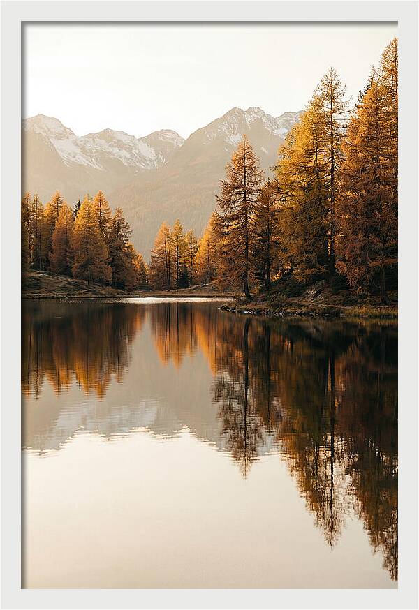 Golden Reflections In Jiuzhaigou