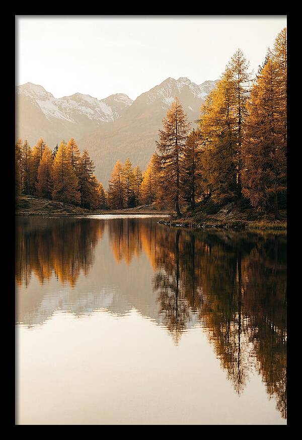 Golden Reflections In Jiuzhaigou
