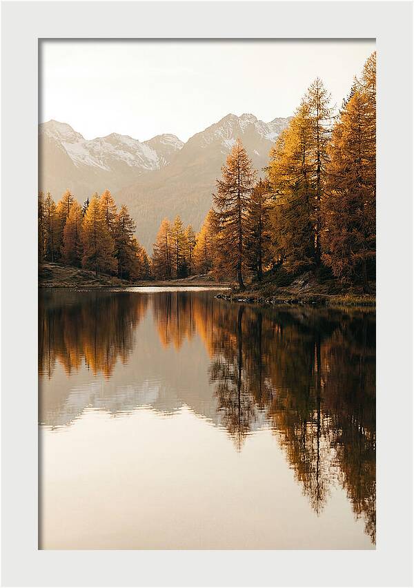 Golden Reflections In Jiuzhaigou