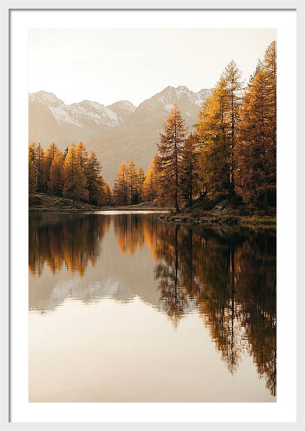 Golden Reflections In Jiuzhaigou