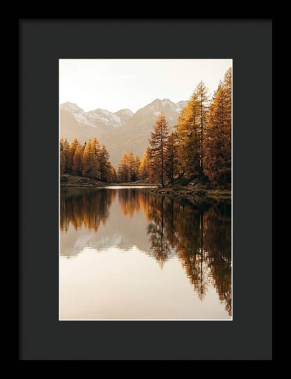 Golden Reflections In Jiuzhaigou
