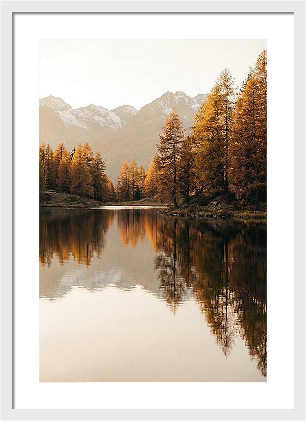 Golden Reflections In Jiuzhaigou