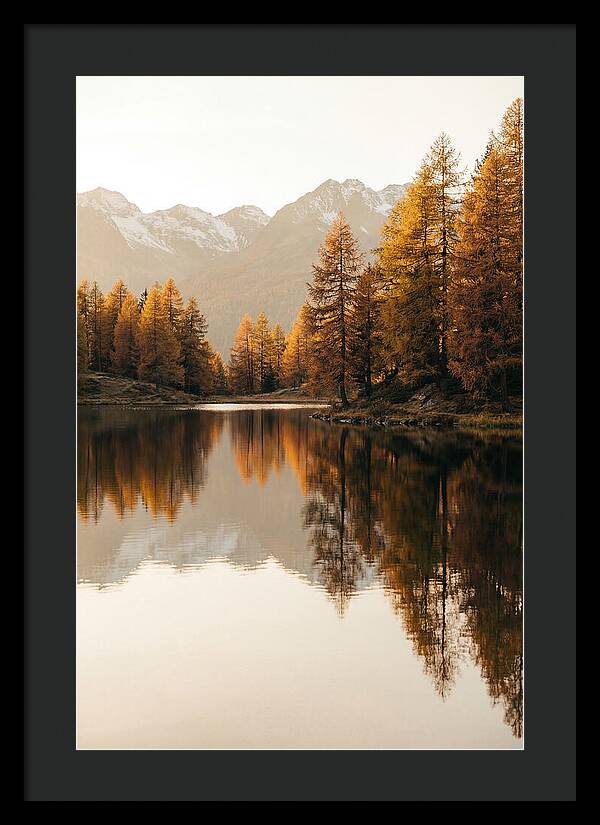 Golden Reflections In Jiuzhaigou