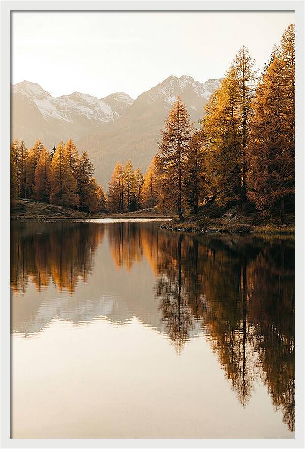 Golden Reflections In Jiuzhaigou