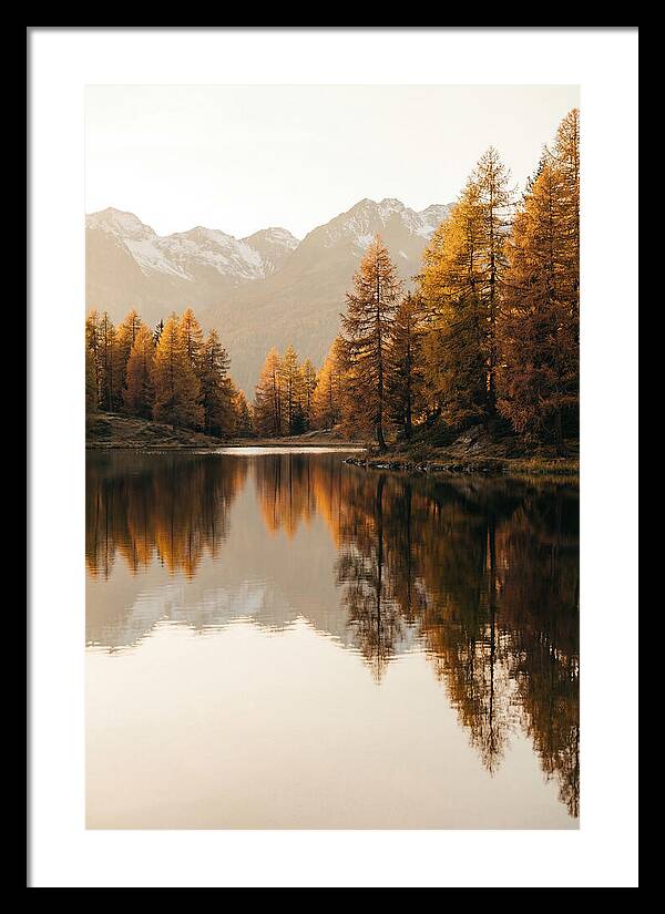 Golden Reflections In Jiuzhaigou