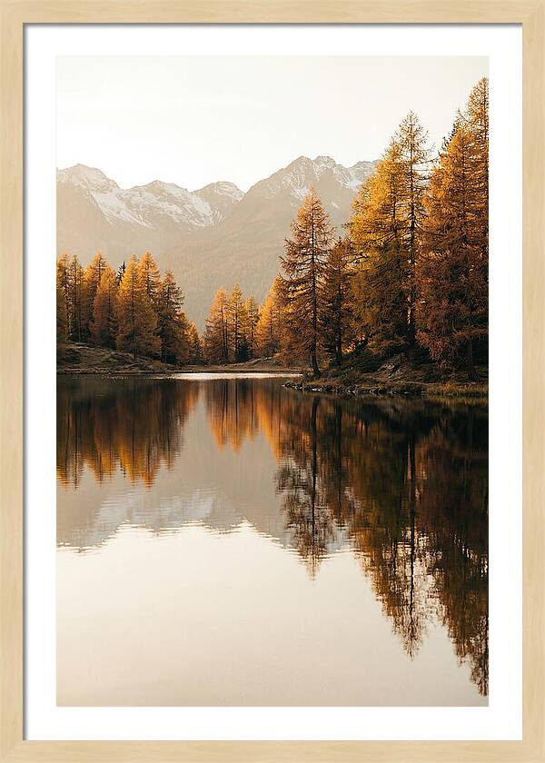 Golden Reflections In Jiuzhaigou