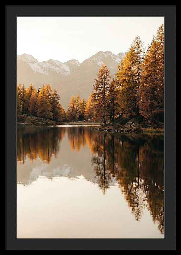 Golden Reflections In Jiuzhaigou