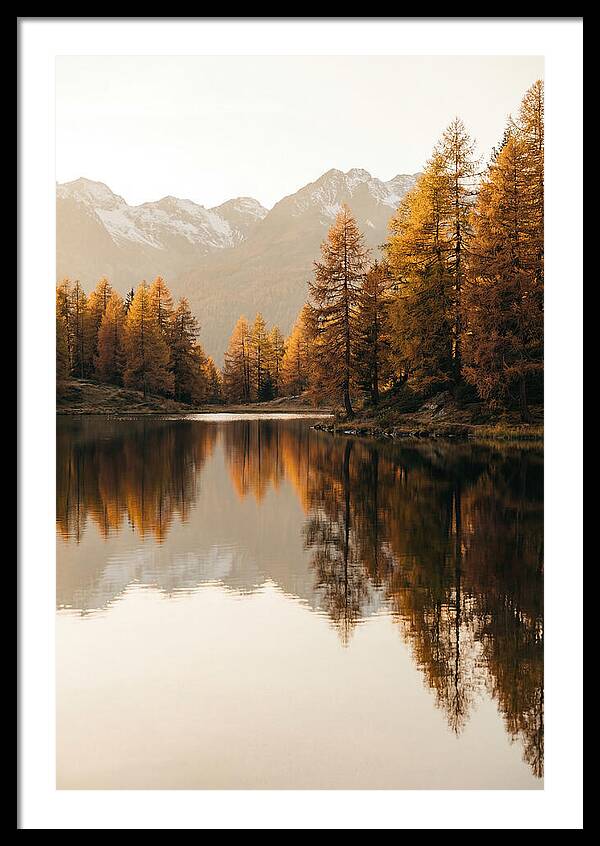 Golden Reflections In Jiuzhaigou