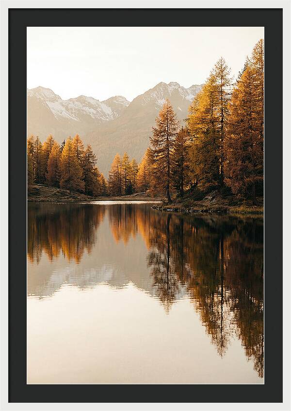 Golden Reflections In Jiuzhaigou
