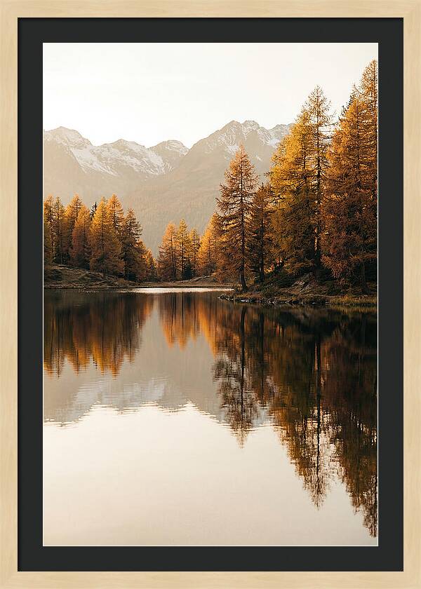 Golden Reflections In Jiuzhaigou