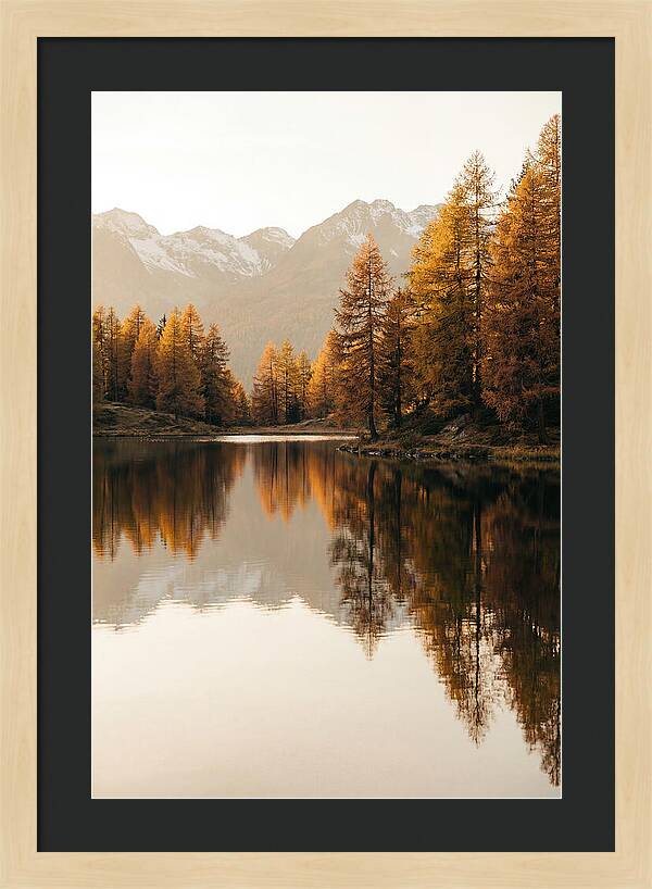 Golden Reflections In Jiuzhaigou