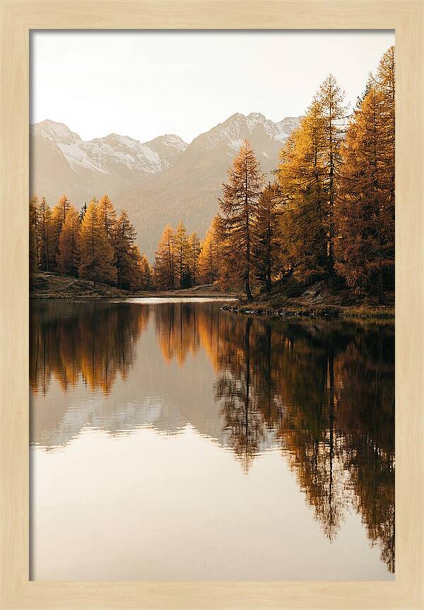 Golden Reflections In Jiuzhaigou