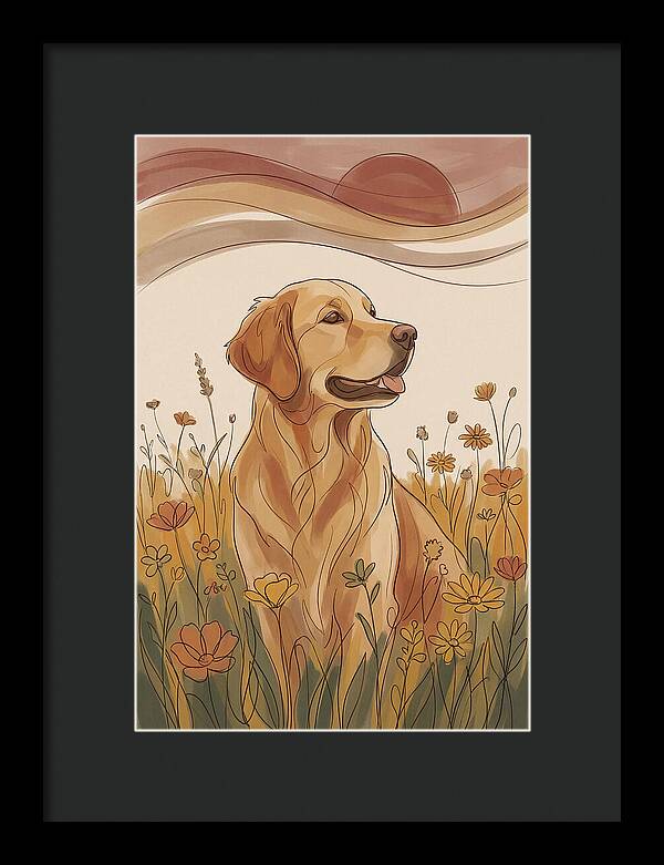 Golden Retriever In A Field