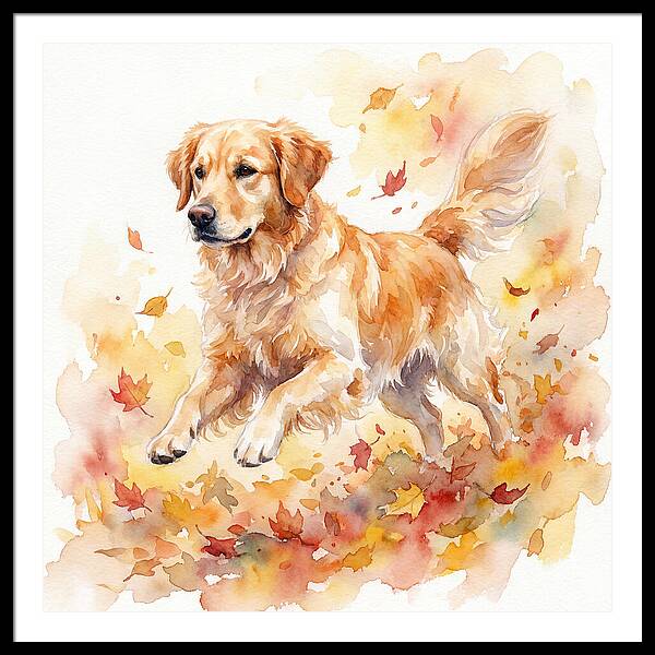 Golden Retriever In Autumn