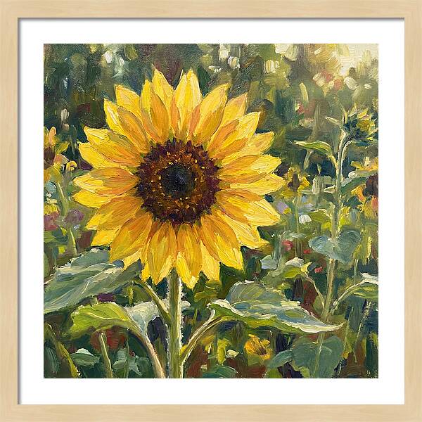 Golden Sunflower Radiance