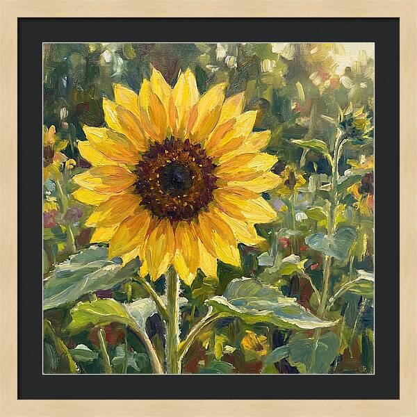 Golden Sunflower Radiance