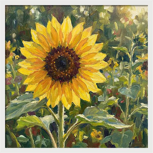 Golden Sunflower Radiance