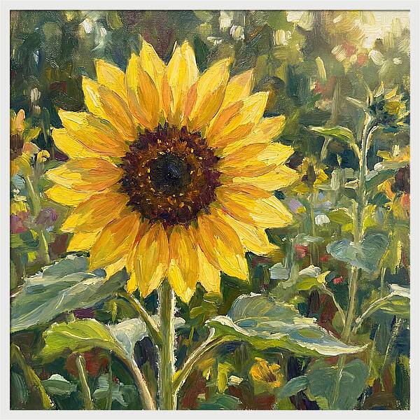 Golden Sunflower Radiance