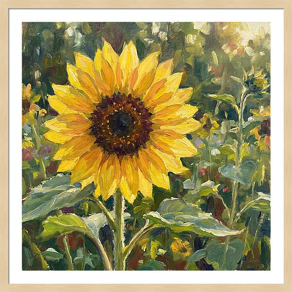 Golden Sunflower Radiance