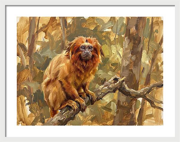 Golden Tamarin In Nature