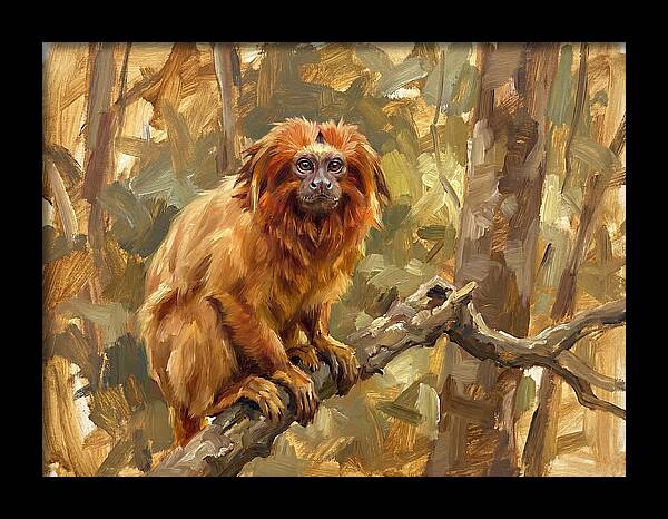 Golden Tamarin In Nature