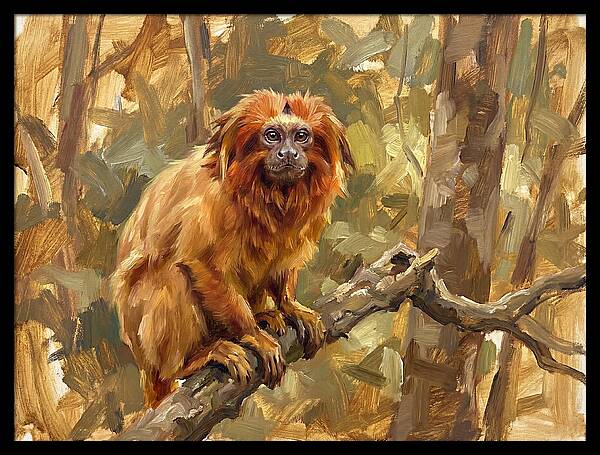 Golden Tamarin In Nature