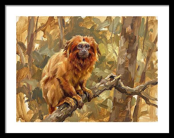 Golden Tamarin In Nature