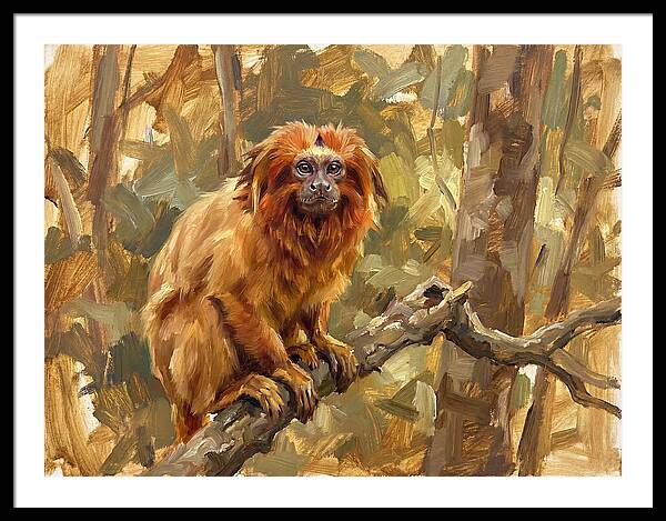 Golden Tamarin In Nature