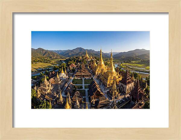 Golden Temples Amidst Nature