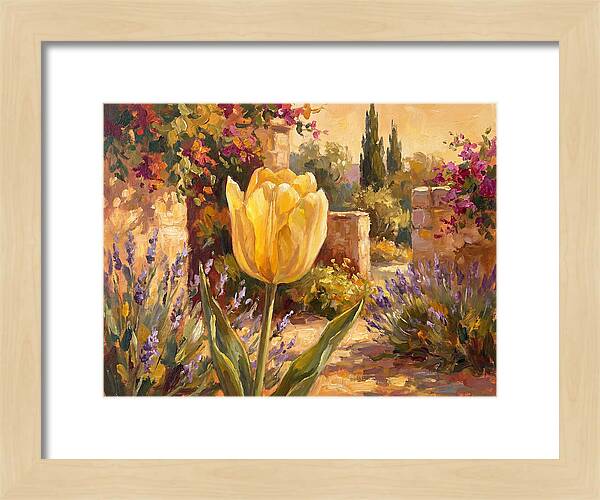 Golden Tulip In Mediterranean Garden