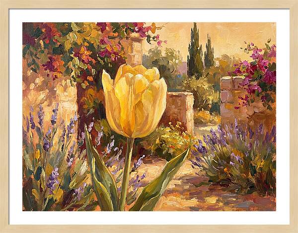 Golden Tulip In Mediterranean Garden
