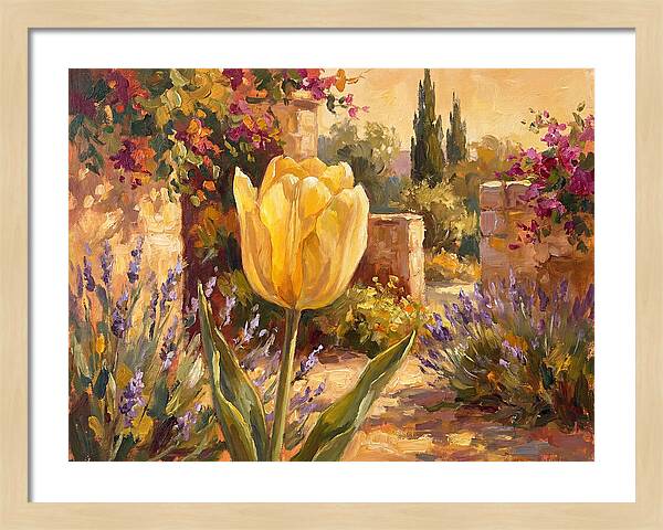 Golden Tulip In Mediterranean Garden