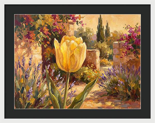 Golden Tulip In Mediterranean Garden
