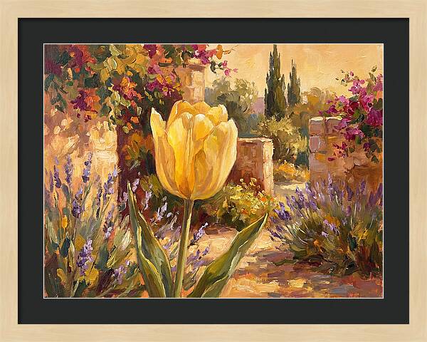 Golden Tulip In Mediterranean Garden