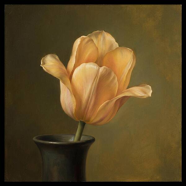 Golden Tulip Serenity